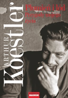 Płomień i lód (Paperback)