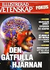 Illustrerad Vetenskap Fokus: Den gåtfulla hjärnan Illustrerad Vetenskap Fokus: Den gåtfulla hjärnan