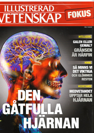  Illustrerad Vetenskap Fokus: Den gåtfulla hjärnan (Paperback)