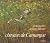 Chevaux de camargue by Hans W. Silvester Chevaux de camargue by Hans W. Silvester