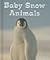 Baby Snow Animals