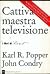 Cattiva maestra televisione