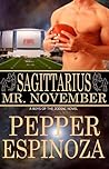 Sagittarius: Mr. November (Boys of the Zodiac, #9)