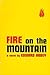 Fire on the Mountain