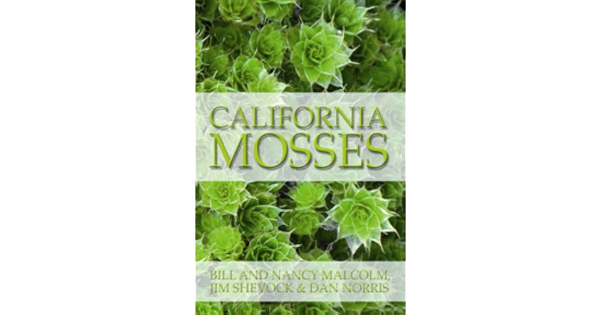 California Mosses by Bill Malcolm