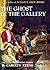 The Ghost in the Gallery (Dana Girls Mystery #17)