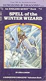Spell of the Winter Wizard (Endless Quest, #11)