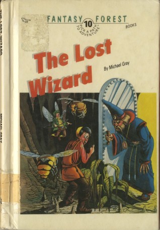 The Lost Wizard (Fantasy Forest, #10)
