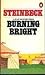 Burning Bright: A Play in Story Form