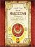 The Magician (The Secrets of the Immortal Nicholas Flamel, #2)