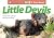 Little Devils