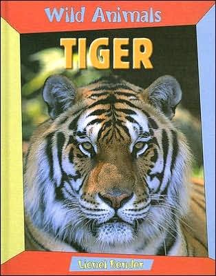 Tiger (Wild Animals)