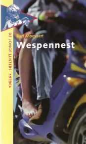 Wespennest (Paperback)
