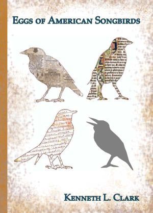 Eggs of American Songbirds