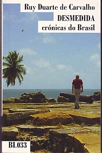 Desmedida - crónicas do Brasil (Luanda - São Paulo - São Francisco e volta)