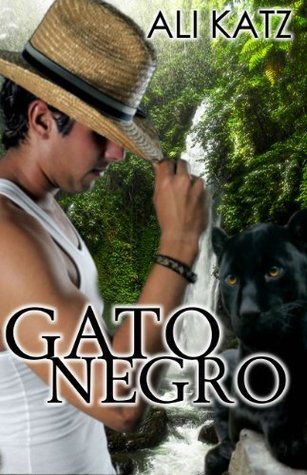 Gato Negro