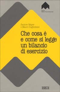 Che cosa è e come si legge un bilancio di esercizio (Hardcover)