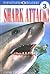 Shark Attack (DK Eyewitness Readers: Level 3)