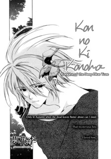 Kon no Ki Konoha (one shot)