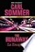 The Runaway / La Escapada (Quest for Success / En busqueda del exito) (English and Spanish Edition)