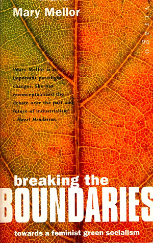 BREAKING THE BOUNDARIES (Paperback)