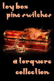 Toy Box: Pine Switches (ebook)