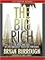 The Big Rich: The Rise and ...