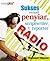 Sukses menjadi Penyiar, Scripwriter, dan Reporter Radio
