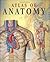 Atlas of Human Anatomy