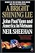 A Bright Shining Lie by Neil Sheehan