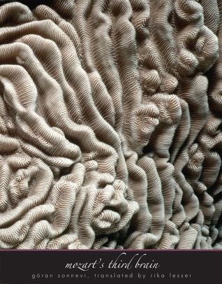 Mozart's Third Brain (Hardcover)