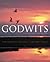 Godwits by Keith Woodley
