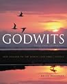 Godwits: Long-Haul Champions: New Zealand to the World--One Bird's Voyage