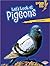 Let's Look at Pigeons (Lightning Bolt Books)