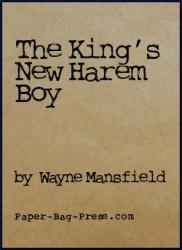 The King's New Harem Boy