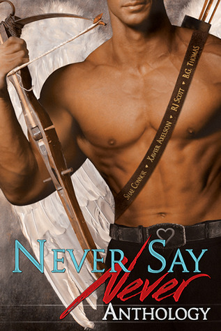 Never Say Never: Stripped / Valentine 2525 / A Secret Valentine / A Valentine for Evrain (ebook)