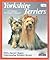 Yorkshire Terriers: Care, Training, Diet, Diseases, Behavior