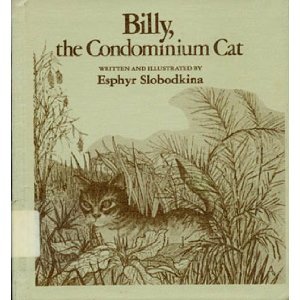 Billy, the Condominium Cat