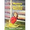 Mystery in the Flooded Museum