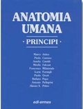 Anatomia umana