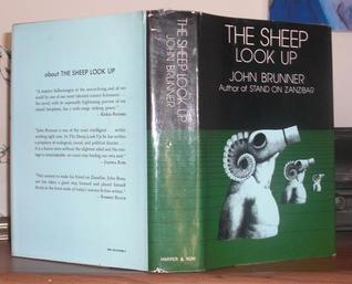 The Sheep Look Up