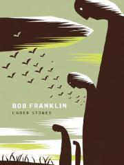 Under Stones (Paperback)