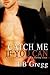 Catch Me If You Can (Romano and Albright, #1) by L.B. Gregg