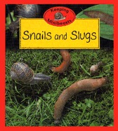 Snails and slugs (Keeping minibeasts)