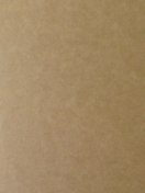 The Revelation of God (Hardcover)