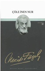 Çöle İnen Nur (Paperback)