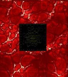 The fall of Jerusalem