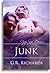 Junk (Randy and Max, #2)