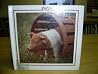 Pigs (Farm Animal Discovery Library) Pigs (Farm Animal Discovery Library)