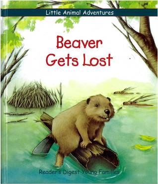 Beaver Gets Lost